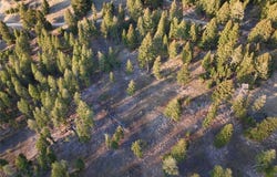 Lot 5 Scranton Lode, Philipsburg, MT 59858