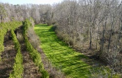 Dallas County Rd 324, Minter, AL 36761