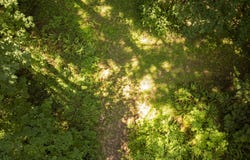Green Mountain Rd, Banks, OR 97106