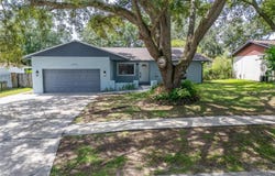 1229 OAK VALLEY Drive, SEFFNER, FL 33584