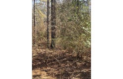 CR 2151 (Tract 7A), Troup, TX 75789
