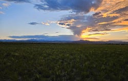 Cadence Ct, Berthoud, CO 80513