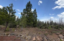 06 Kirby Court, Burney, CA 96013
