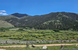 950 White Creek, Polaris, MT 59746