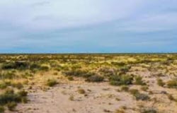 Sierra Blanca, TX 79851