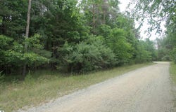 Merrill Drive, Vestaburg, MI 48891