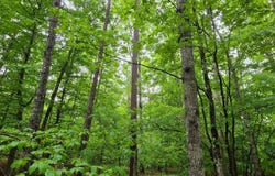 GLEN EAGLES lot: 18, GORDONSVILLE, VA 22942