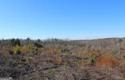57+/- AC Victory Road, Franklin, GA 30217