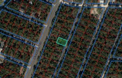 NE 154TH Avenue, WILLISTON, FL 32696