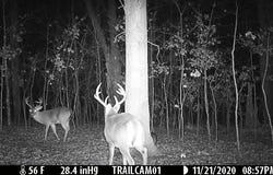FS 1548, Pettigrew, AR 72752
