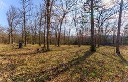 Century Lane, Lampe, MO 65681