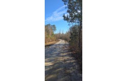 Primus Drive, Saint George, SC 29477