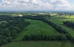 Polk Road 60, Board Camp, AR 71953
