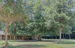 3377 Ware Rd, Cantonment, FL 32533