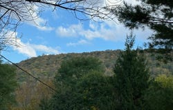 Overlook Dr, Slatyfork, WV 26291