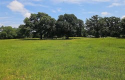 13 Acres Fm 39 S, Groesbeck, TX 76642