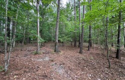 lovett Rd., Strong, AR 71765