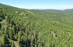 10 Tract, Garnet Range, Drummond, MT 59832
