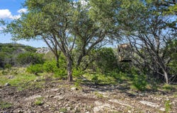 Black Waterhole Ranch, Rocksprings, TX 78880