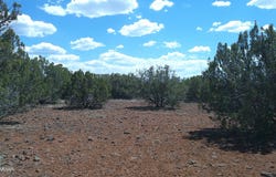 5 County Road 8077, Concho, AZ 85924