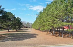 1305 Springhill Rd, LAUREL, MS 39443
