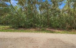 ELAINE Drive, WEBSTER, FL 33597