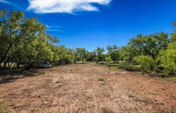 Mesquite, Brady, TX 76825