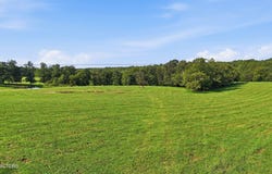 Deer Lodge, TN 37726