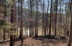 17 Southridge Drive, Mount Ida, AR 71957