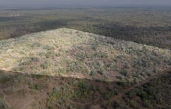 PR 2221, Nixon, TX 78140