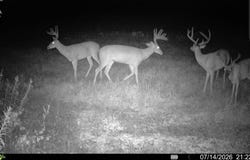 Crantock Road, Smithfield, NC 27577
