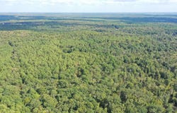 McNeil Road, Avinger, TX 75630