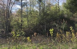 Prokey Drive lot: 12, Limerick, ME 04048