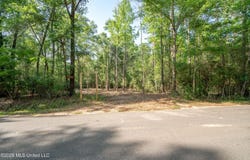 Cowart Road, Lucedale, MS 39452