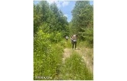 Hatfield Creek Rd, Newcomb, TN 37819