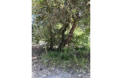 1460 Lake Rd, Junction City, CA 96048