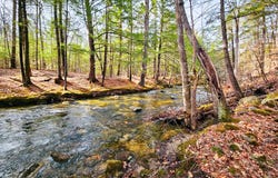 922 Weld Road, Wilton, ME 04294