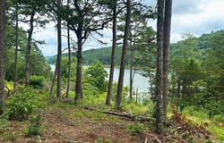 Mountain Park Rd, Shirley, AR 72088