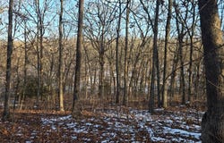 S 68th Rd, Dunnegan, MO 65640