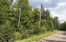 On Schwilk Road, Glidden, WI 54527