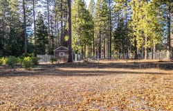 Serpentine Lane, Burney, CA 96013