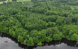 ON SOO LAKE RD E, Phillips, WI 54555