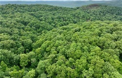 Hwy 16, Pettigrew, AR 72752