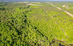 21701 Highway 441, McIntyre, GA 31054