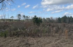 Clem Rd, Prentiss, MS 39474