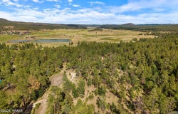 CR 2193, Alpine, AZ 85920