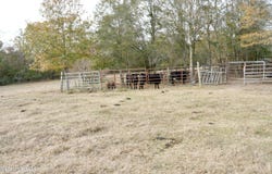 S Washington NE Street, Brookhaven, MS 39601