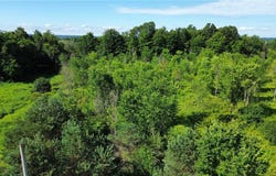 Rockbrook Road, Evans Mills, NY 13637