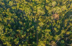 SW 550th St, Horseshoe Beach, FL 32648