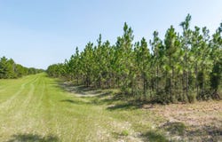 SE SCHOONER WAY, Lee, FL 32059
